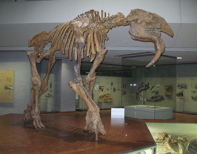 Pictures And Profiles Of Prehistoric Elephants