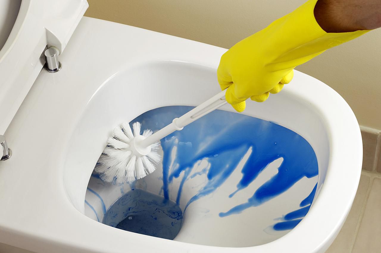 Clean A Toilet The Right Way