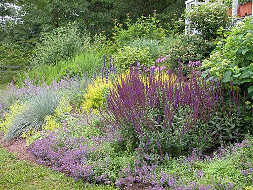 Choosing Plants for a Small Space Garden