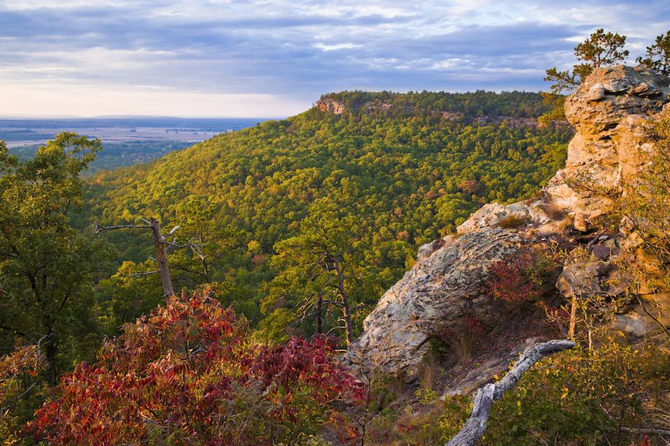 Escape to the Ozark Mountains: Your Guide to Arkansas' Redding Recreation Area