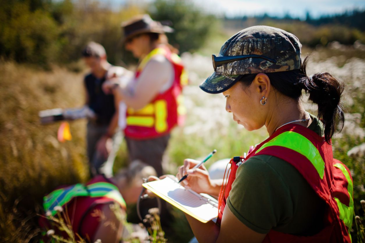 environmental studies jobs