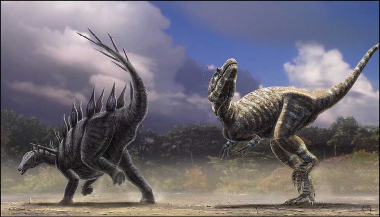 dinosaur fossil fighting