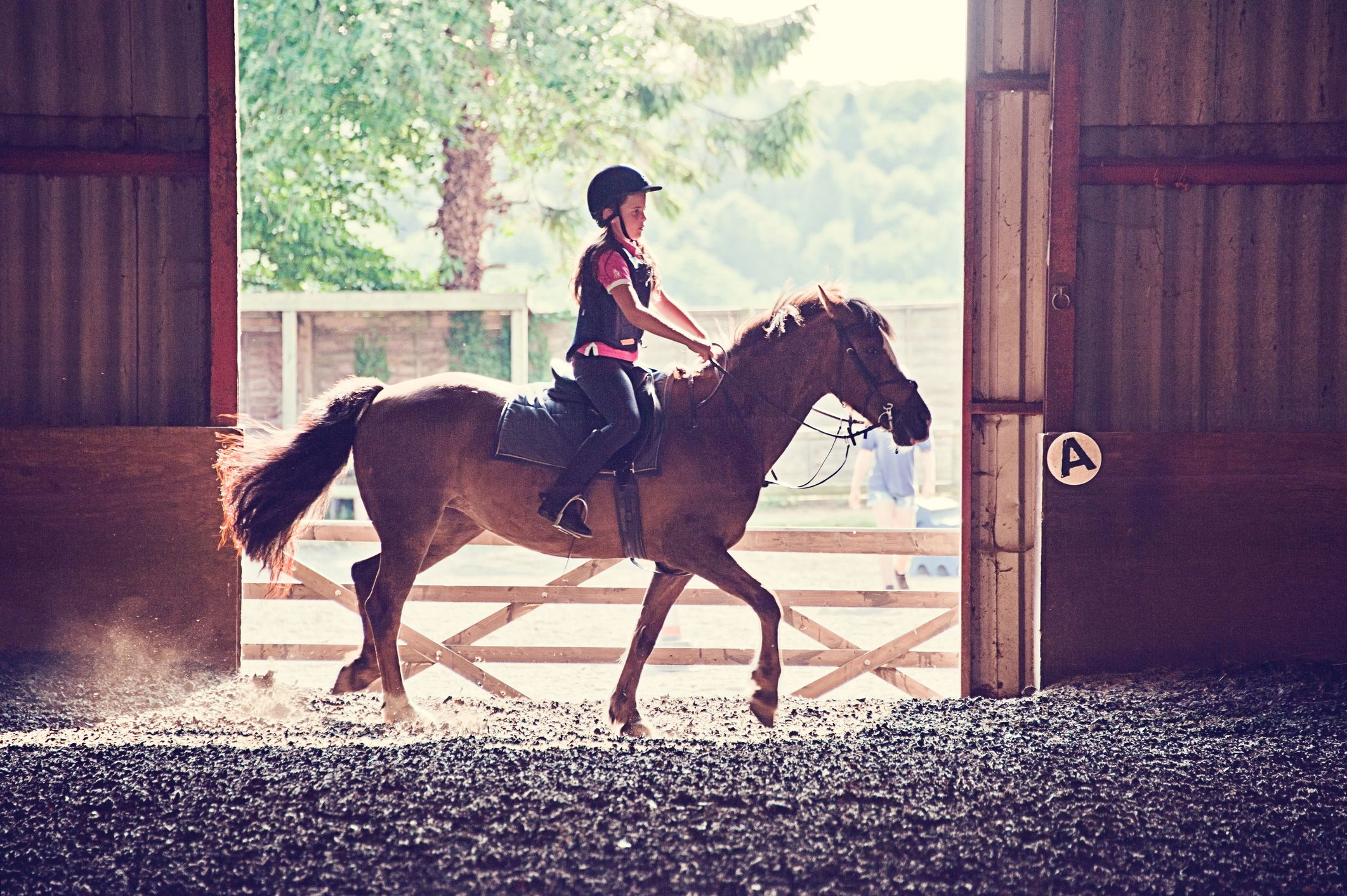 convince-your-parents-to-buy-you-a-horse