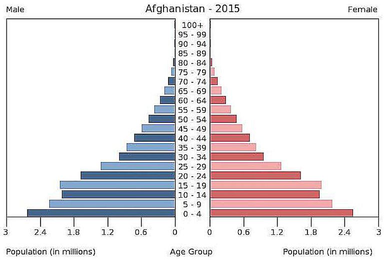 Age Sex Pyramids And Population Pyramids 