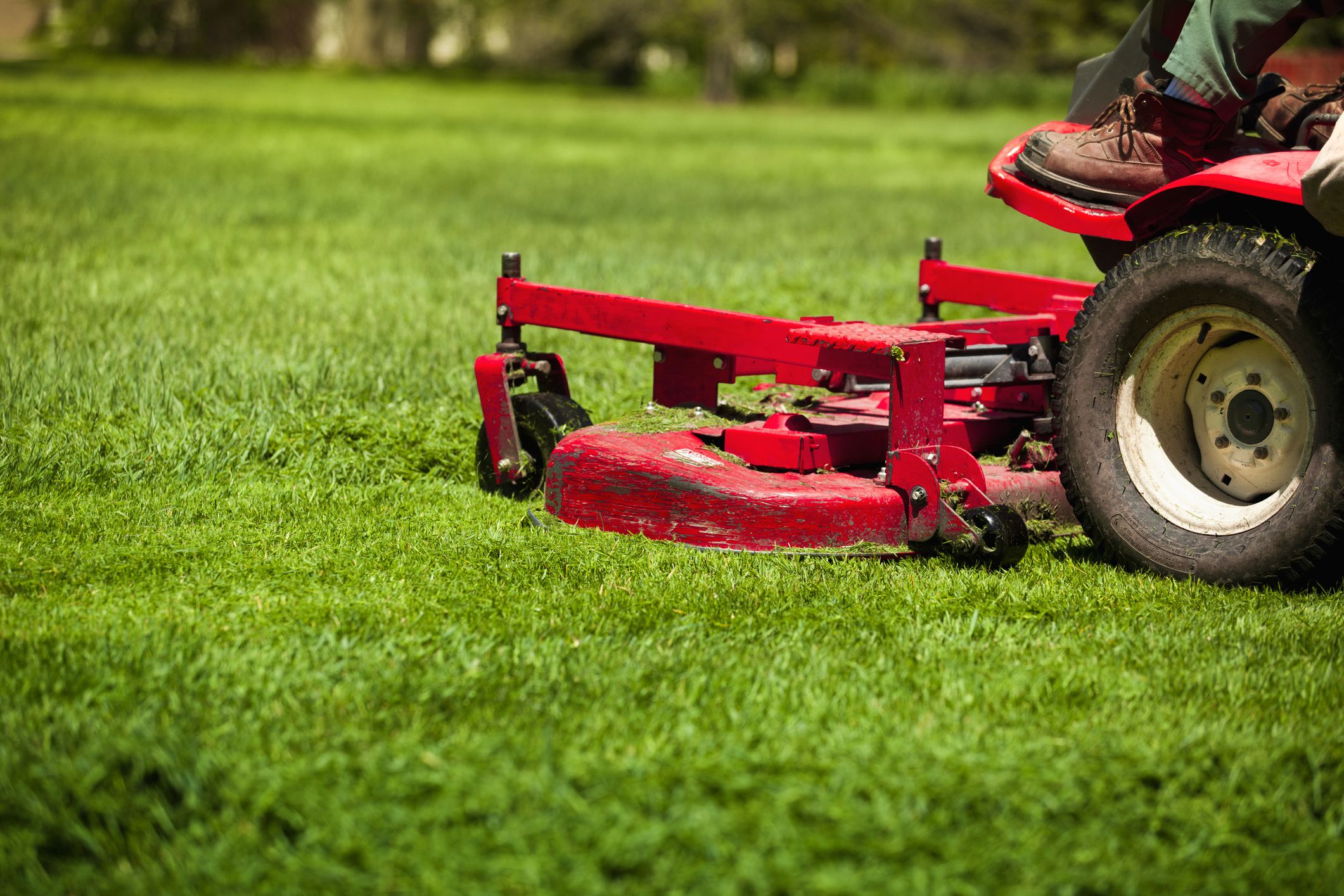 The Biggest Lawn Care Mistake Is Cutting Too Short