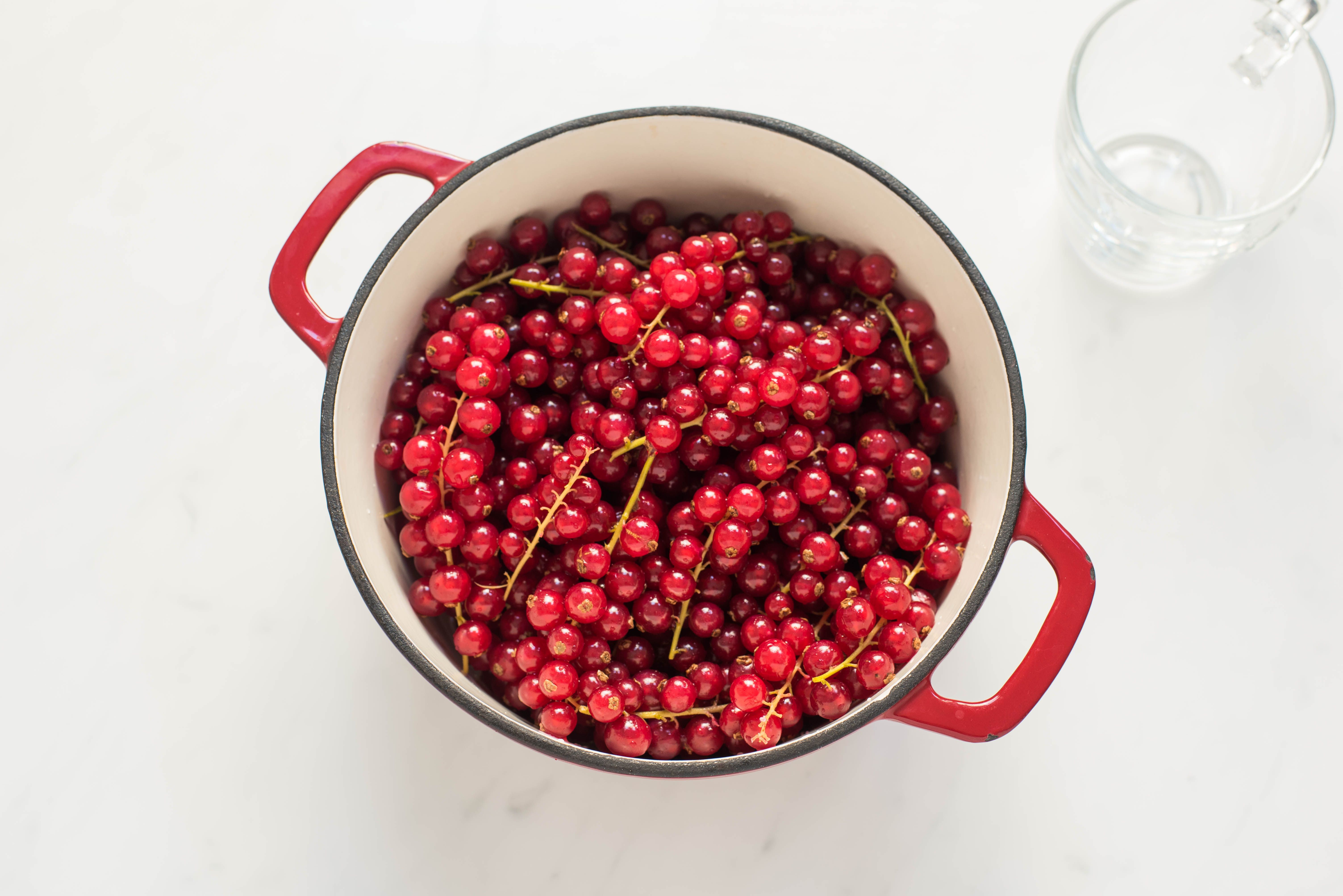 Easy Red Currant Jelly Recipe