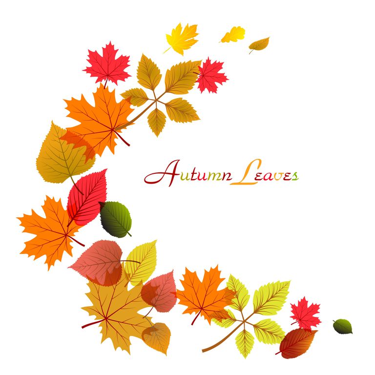 1,759 Free Fall Leaves Clip Art Images
