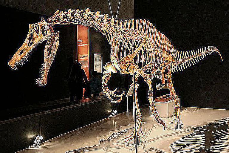 The 10 Types of Dinosaur Bones Studied by Paleontologists