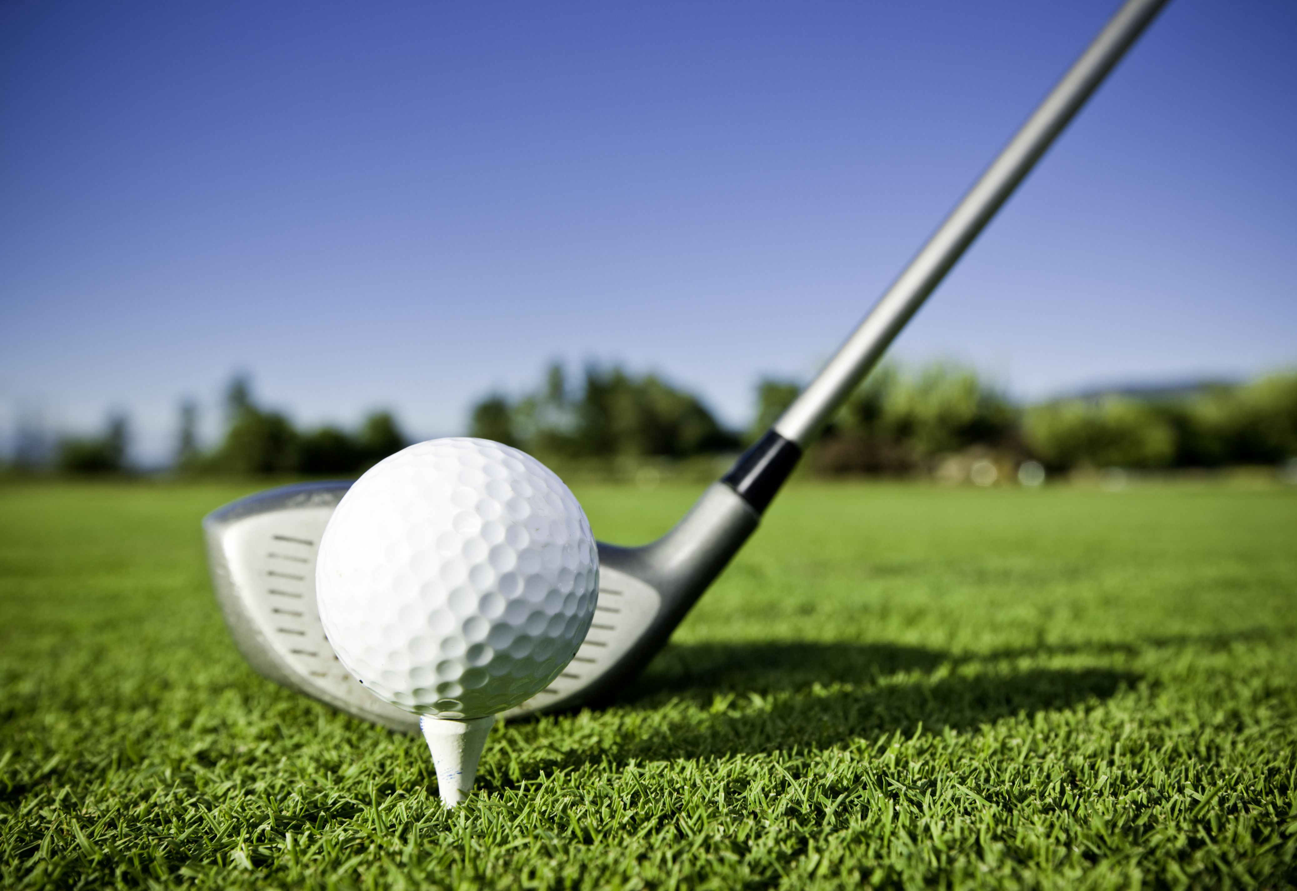 The Fascinating History of the Humble Golf Tee