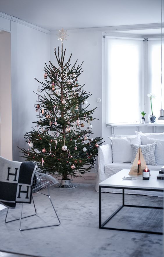 12 Scandinavian Christmas Trees